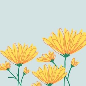 Meet your Posher, Allie